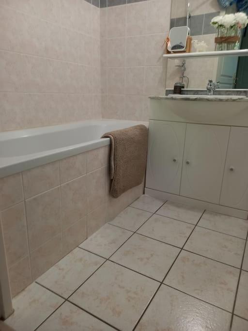 Le Doubs Cosy Leilighet Besançon Eksteriør bilde